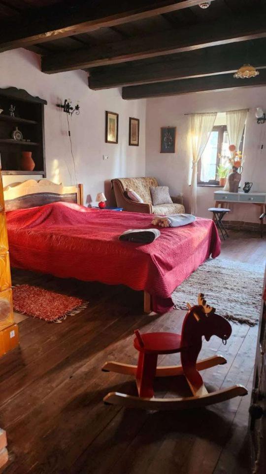 Main Road Seven Vendeghaz Apartment Fuzerradvany Екстериор снимка